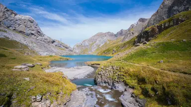 How to modify DaisyUI theme using CDN How to modify DaisyUI theme using CDN