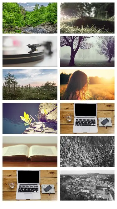 NextJS auto width height final output NextJS auto width height final output