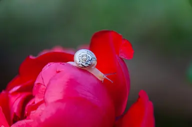 How to Create A React Searchable Table with MUI How to Create A React Searchable Table with MUI