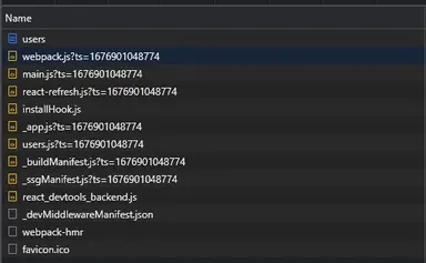use axios ssr next js network tab use axios ssr next js network tab